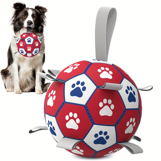 Pelota con correa